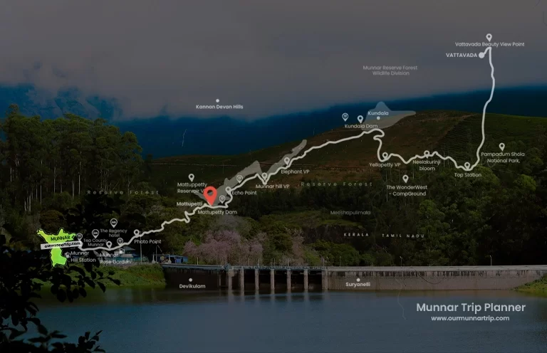 Journey to Nature: How to Reach Vattavada from Kochi